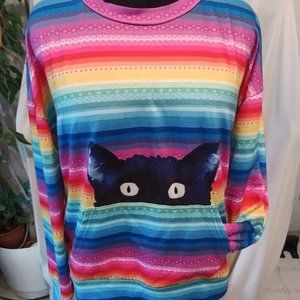 FUN Rainbow Kitty sweatshirt with POCKET!